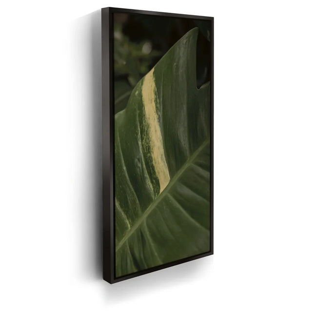 Featured image 5 for A Detail In Green - Maui, Hawaii