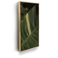 Featured image 7 for A Detail In Green - Maui, Hawaii