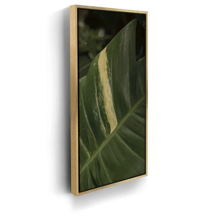 Featured image 7 for A Detail In Green - Maui, Hawaii