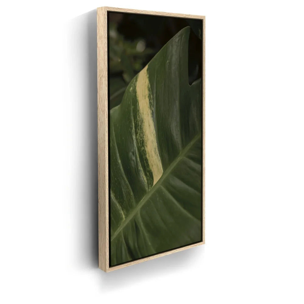 Featured image 9 for A Detail In Green - Maui, Hawaii