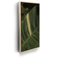 Featured image 9 for A Detail In Green - Maui, Hawaii