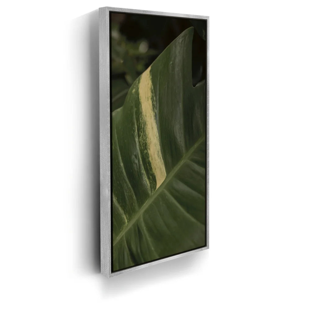 Featured image 8 for A Detail In Green - Maui, Hawaii