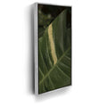 Featured image 8 for A Detail In Green - Maui, Hawaii