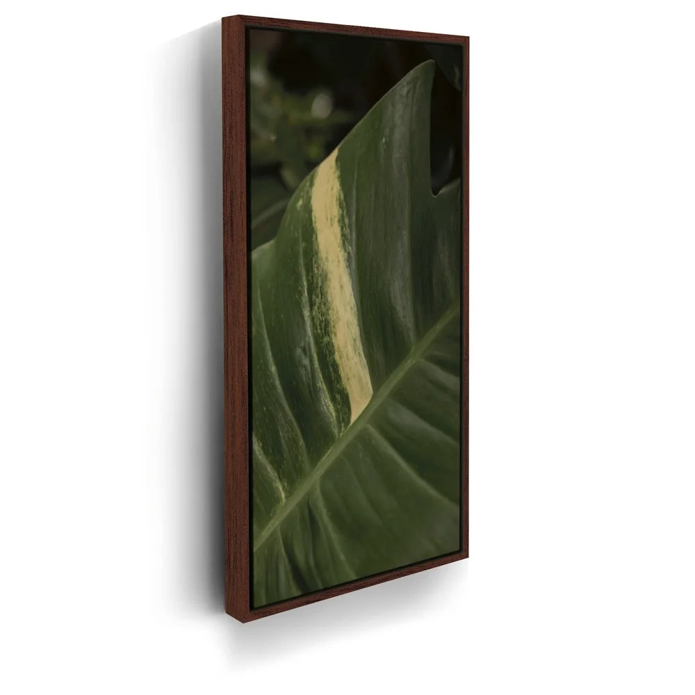 Featured image 10 for A Detail In Green - Maui, Hawaii