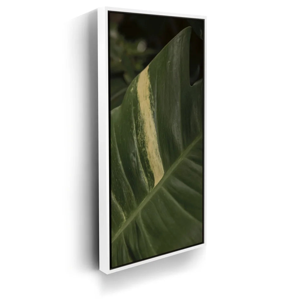 Featured image 6 for A Detail In Green - Maui, Hawaii
