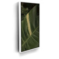 Featured image 6 for A Detail In Green - Maui, Hawaii