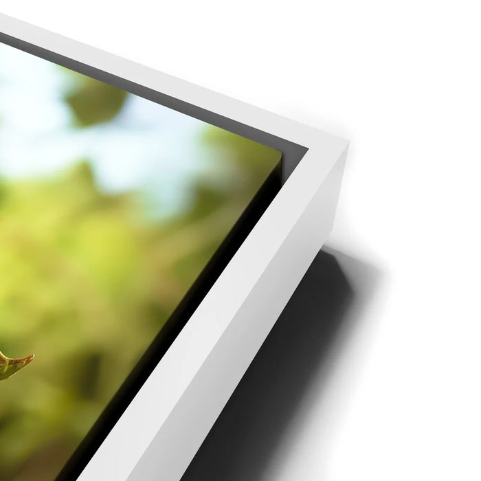 Featured image 14 for A Garden Gnomes Garden Gnome