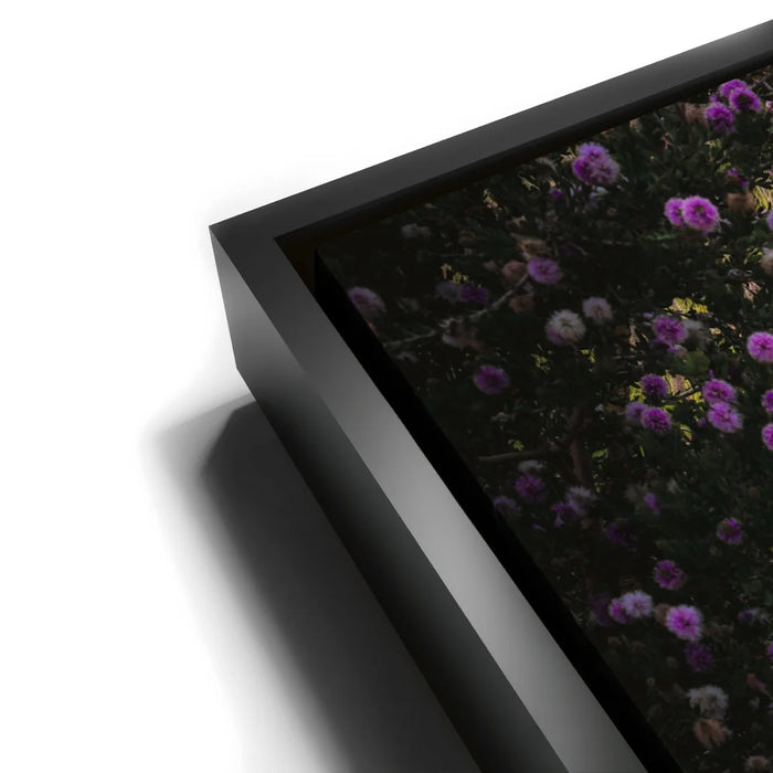 Featured image 11 for A Happy Little Scene