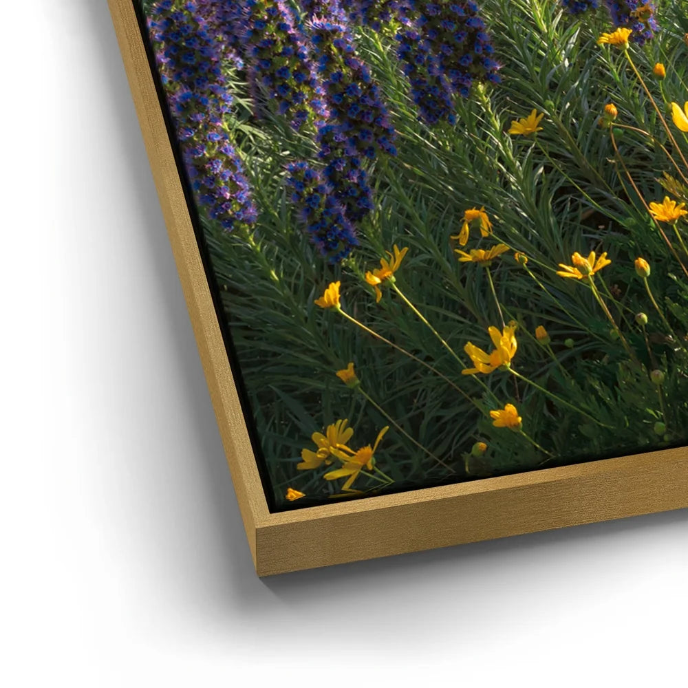 Featured image 12 for A Laguna Beach Spring