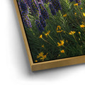 Thumbnail image 12 for A Laguna Beach Spring