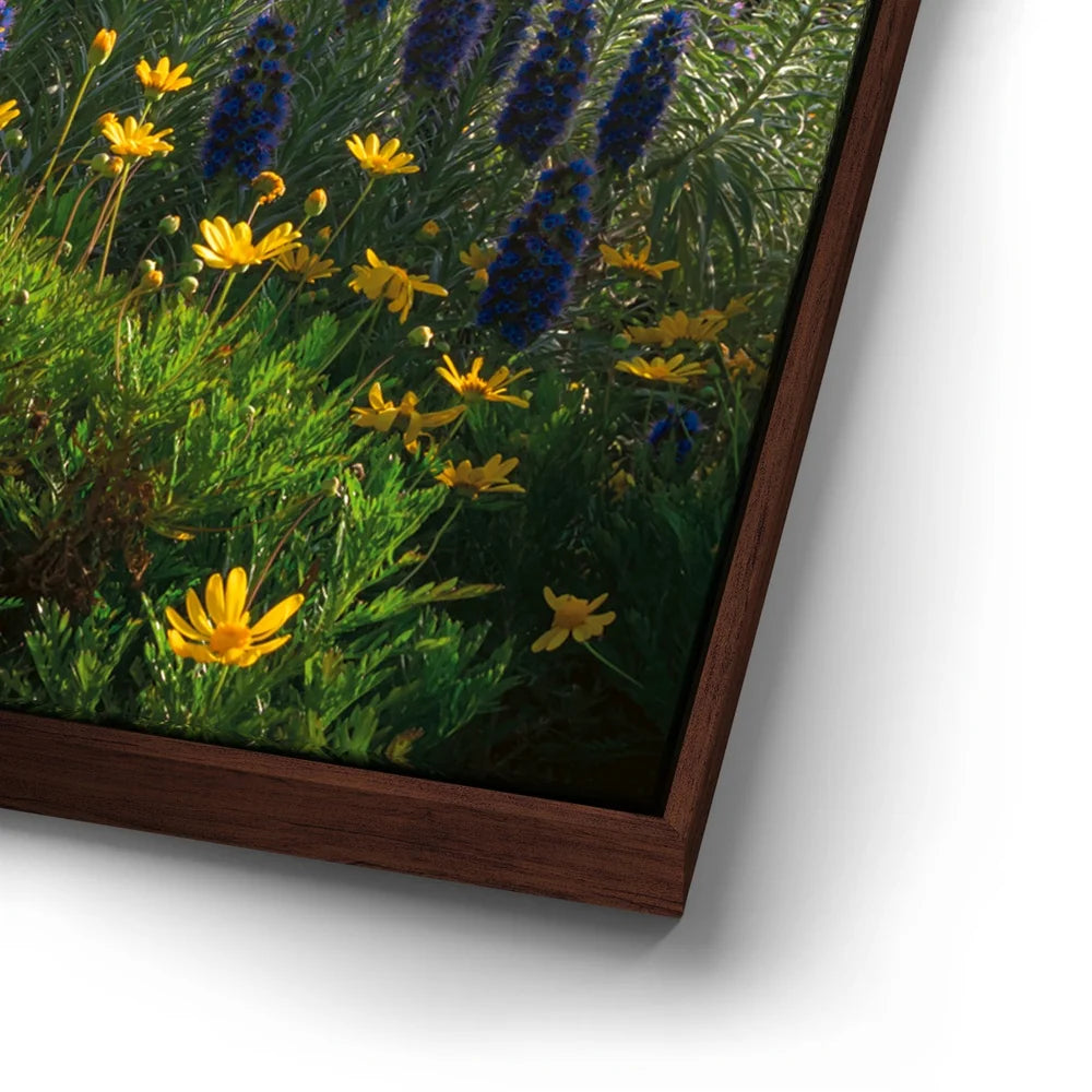 Featured image 14 for A Laguna Beach Spring