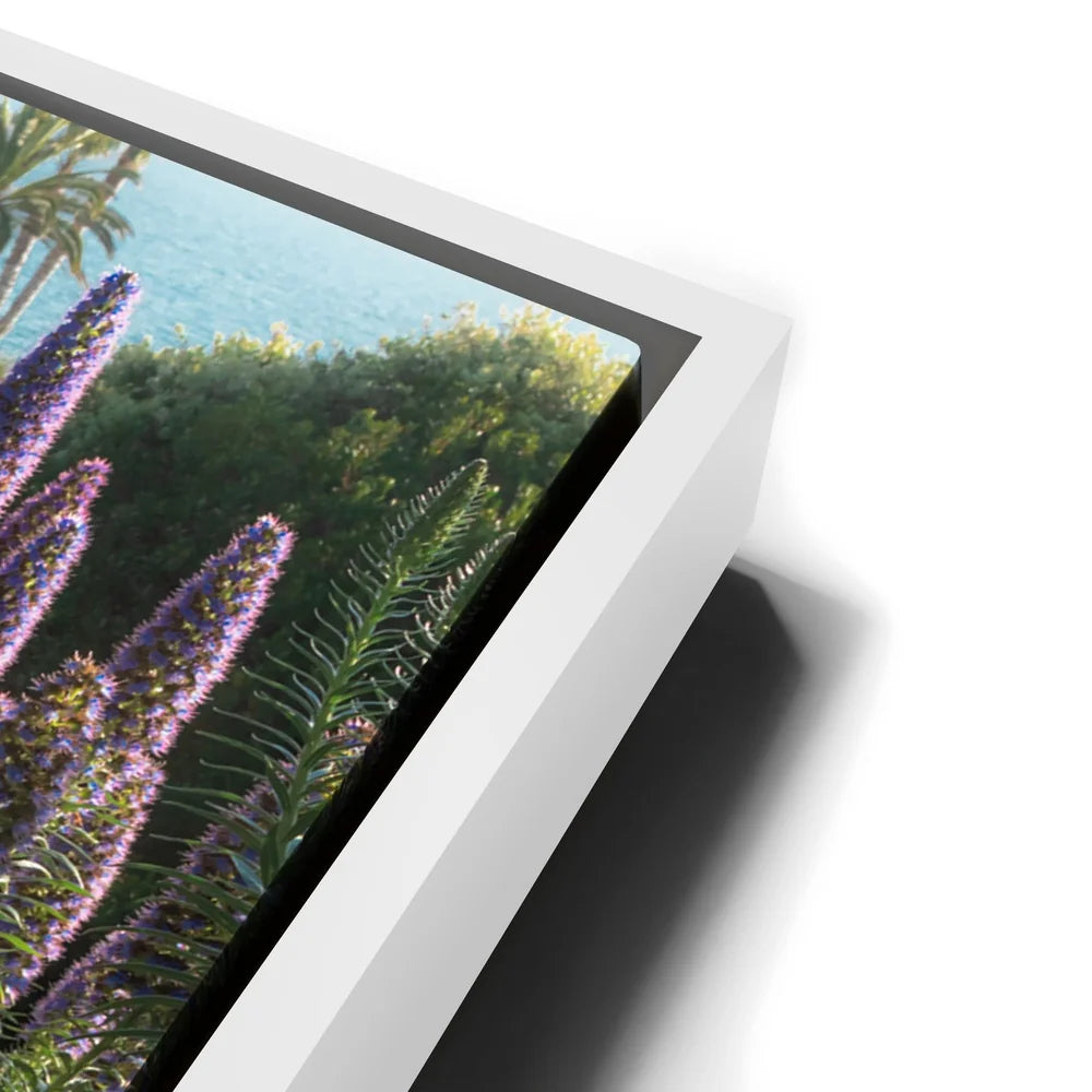 Featured image 13 for A Laguna Beach Spring