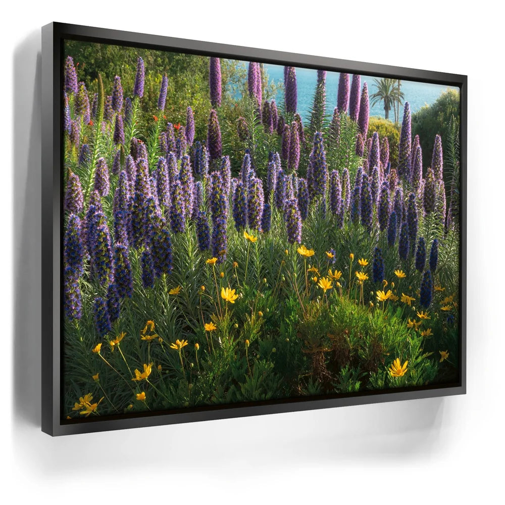 Featured image 5 for A Laguna Beach Spring