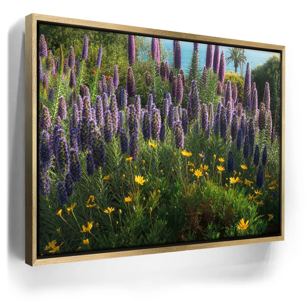 Featured image 7 for A Laguna Beach Spring