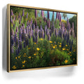 Featured image 7 for A Laguna Beach Spring