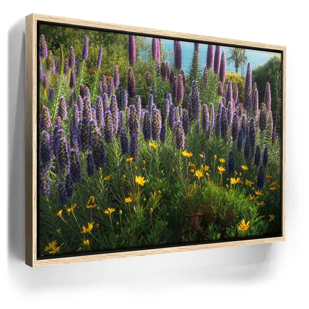 Featured image 9 for A Laguna Beach Spring
