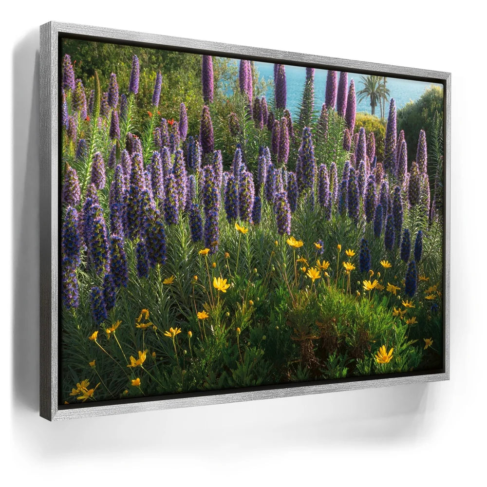 Featured image 8 for A Laguna Beach Spring