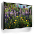 Featured image 8 for A Laguna Beach Spring