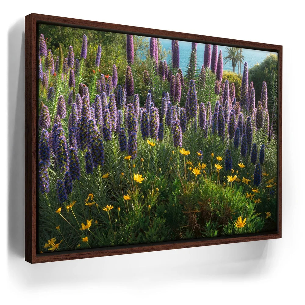 Featured image 10 for A Laguna Beach Spring