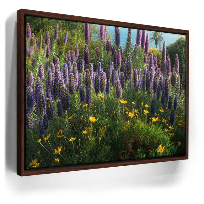 Featured image 10 for A Laguna Beach Spring