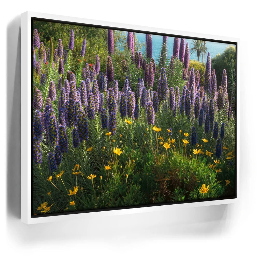 Featured image 6 for A Laguna Beach Spring
