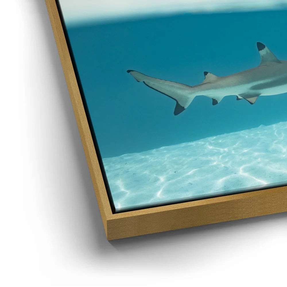 Featured image 12 for A Turn To The Blue - Tahiti