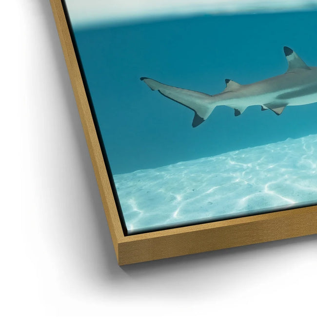 Featured image 12 for A Turn To The Blue - Tahiti