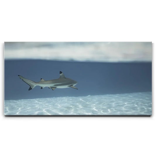 A Turn To The Blue - Tahiti