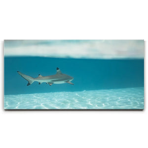 A Turn To The Blue - Tahiti