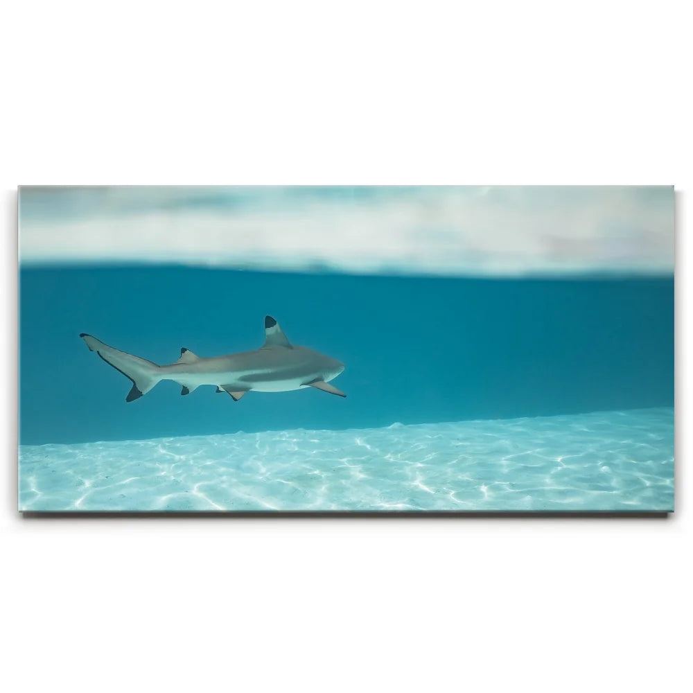 Featured image 1 for A Turn To The Blue - Tahiti