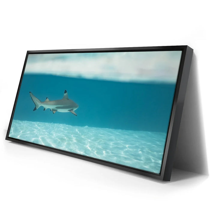 Featured image 2 for A Turn To The Blue - Tahiti