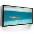 Featured image 5 for A Turn To The Blue - Tahiti
