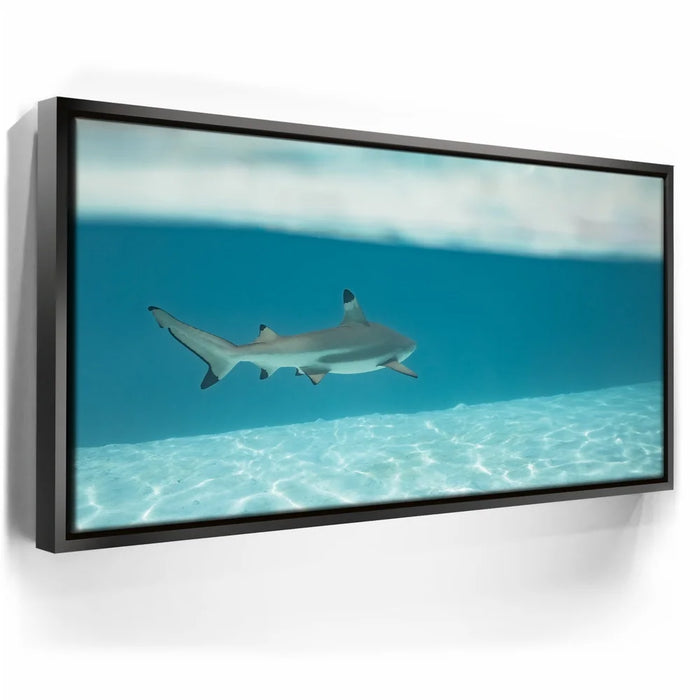 Featured image 5 for A Turn To The Blue - Tahiti