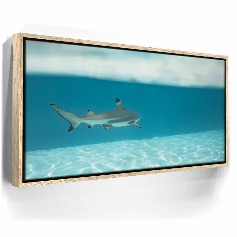 Featured image 9 for A Turn To The Blue - Tahiti