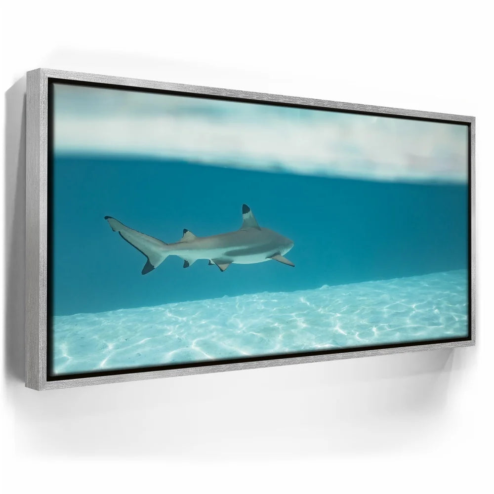 Featured image 8 for A Turn To The Blue - Tahiti