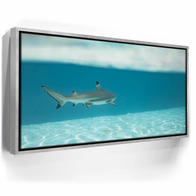 Featured image 8 for A Turn To The Blue - Tahiti