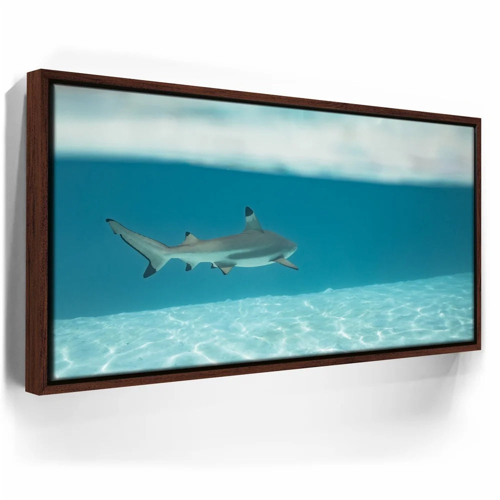 Featured image 10 for A Turn To The Blue - Tahiti