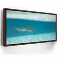 Featured image 10 for A Turn To The Blue - Tahiti