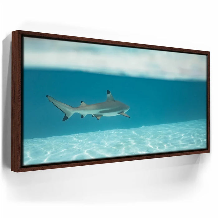 Featured image 10 for A Turn To The Blue - Tahiti