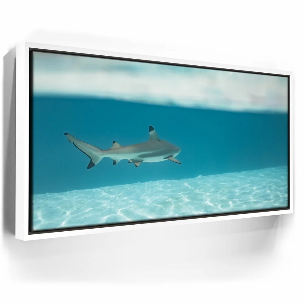 Featured image 6 for A Turn To The Blue - Tahiti