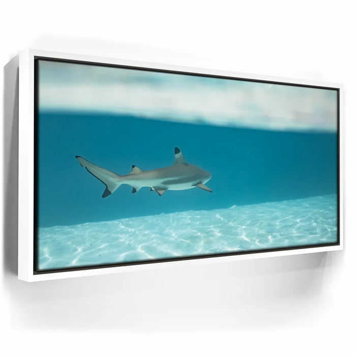 Featured image 6 for A Turn To The Blue - Tahiti