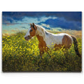 Featured image 1 for A Place of Peace