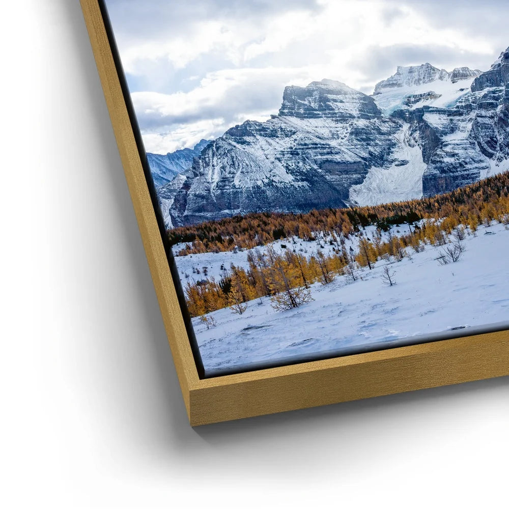Featured image 13 for Above the Tree Line