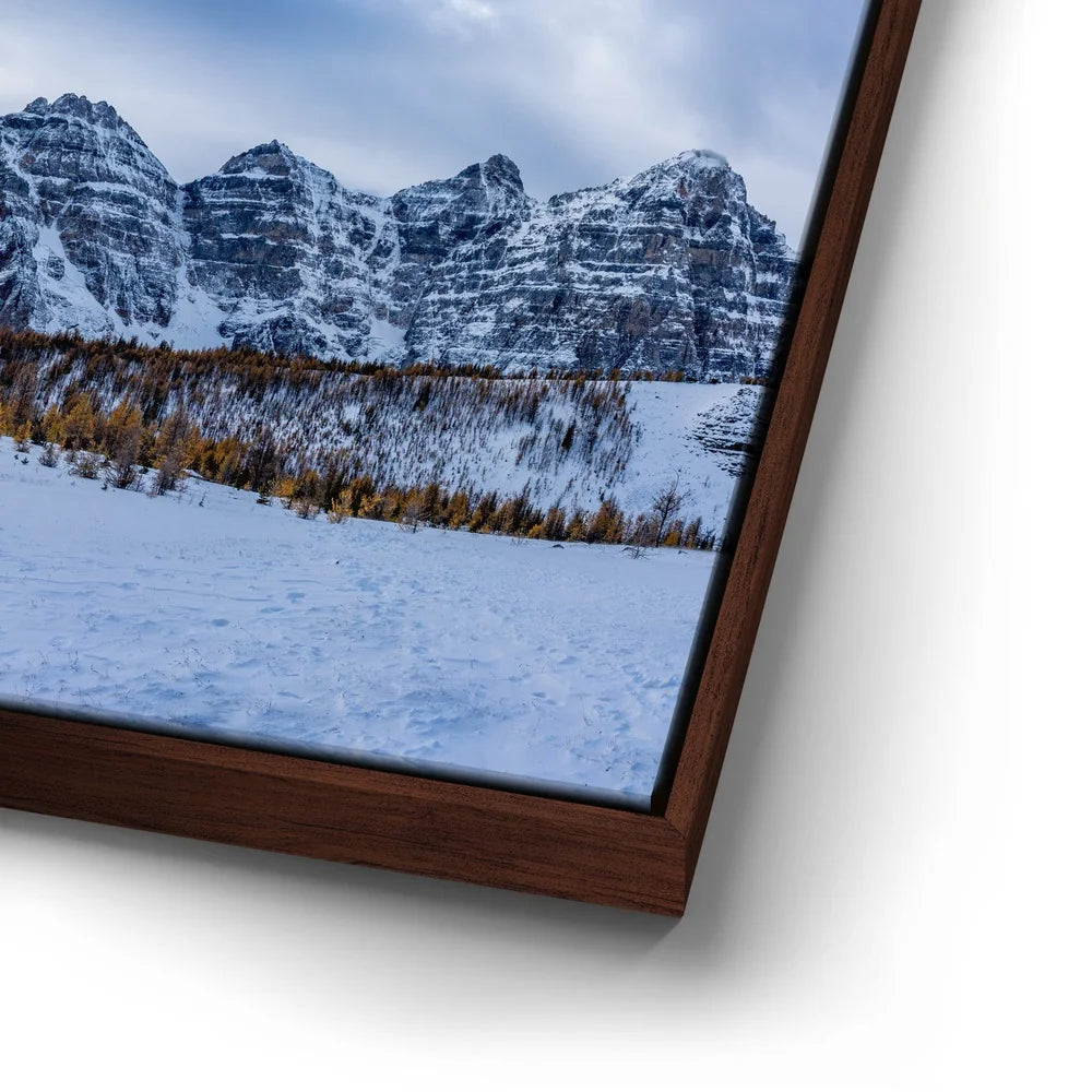 Featured image 15 for Above the Tree Line