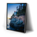 Thumbnail image 2 for Acadia Guardian