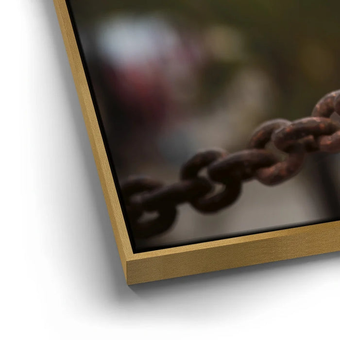 Featured image 12 for Access Denied