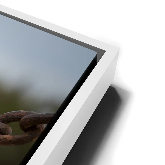 Featured image 14 for Access Denied