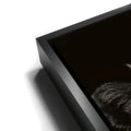 Thumbnail image 12 for African Lion Queen
