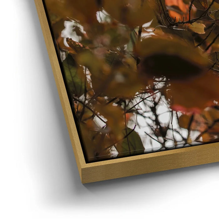 Featured image 12 for Aging In Nature - Maui, Hawaii