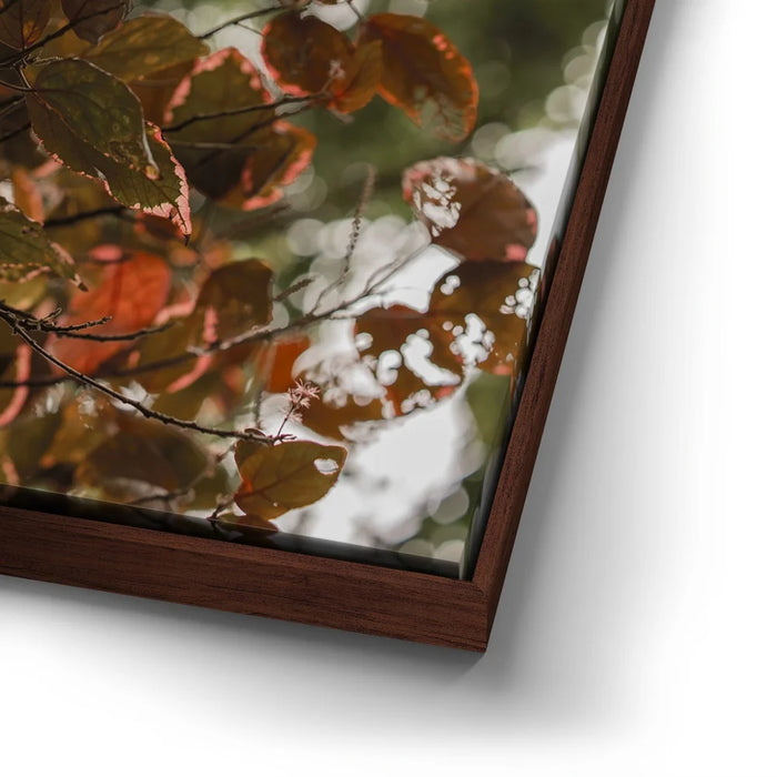 Featured image 14 for Aging In Nature - Maui, Hawaii